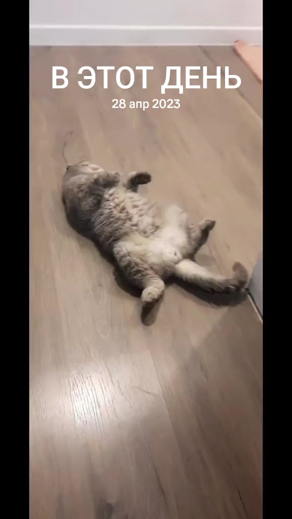@Ольга