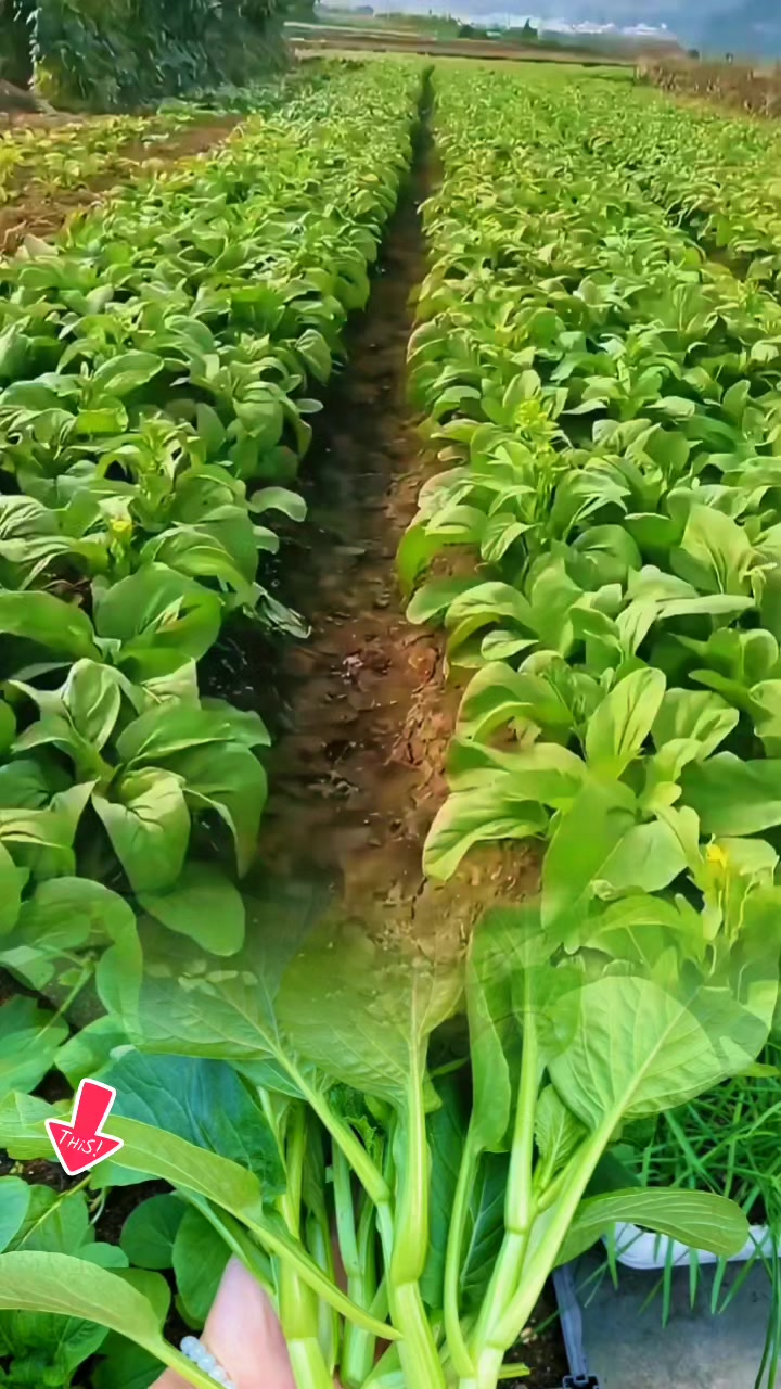 @tới đồ dùng