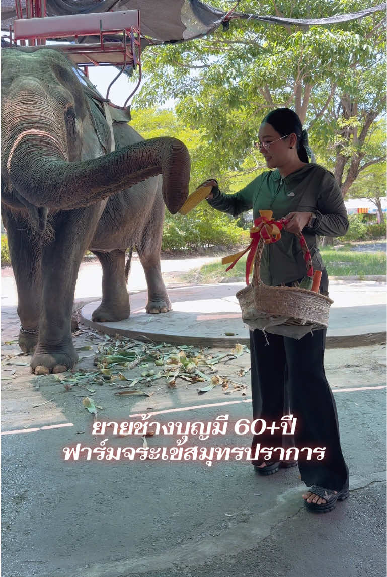 @หญิง ธิติกานต์ Official