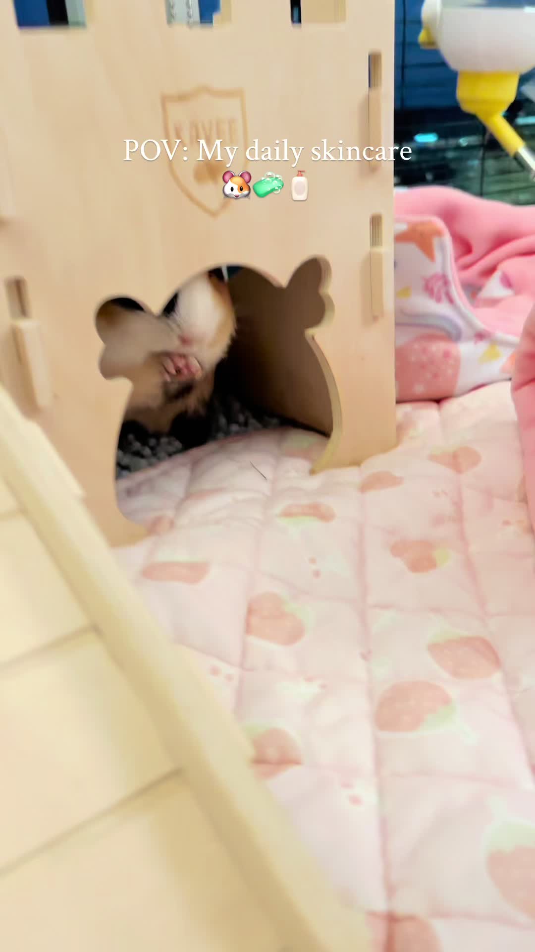 @pumpkin_panda_home