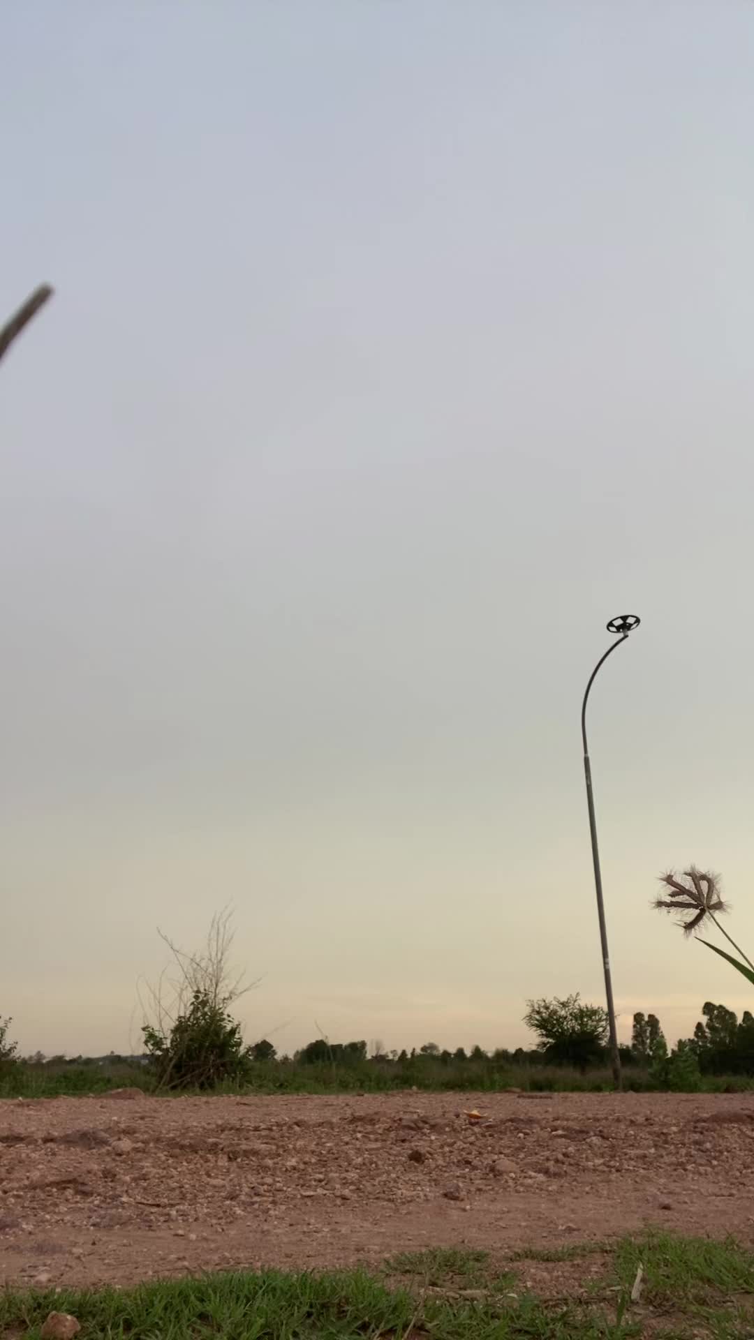 @ily’soupenh<3