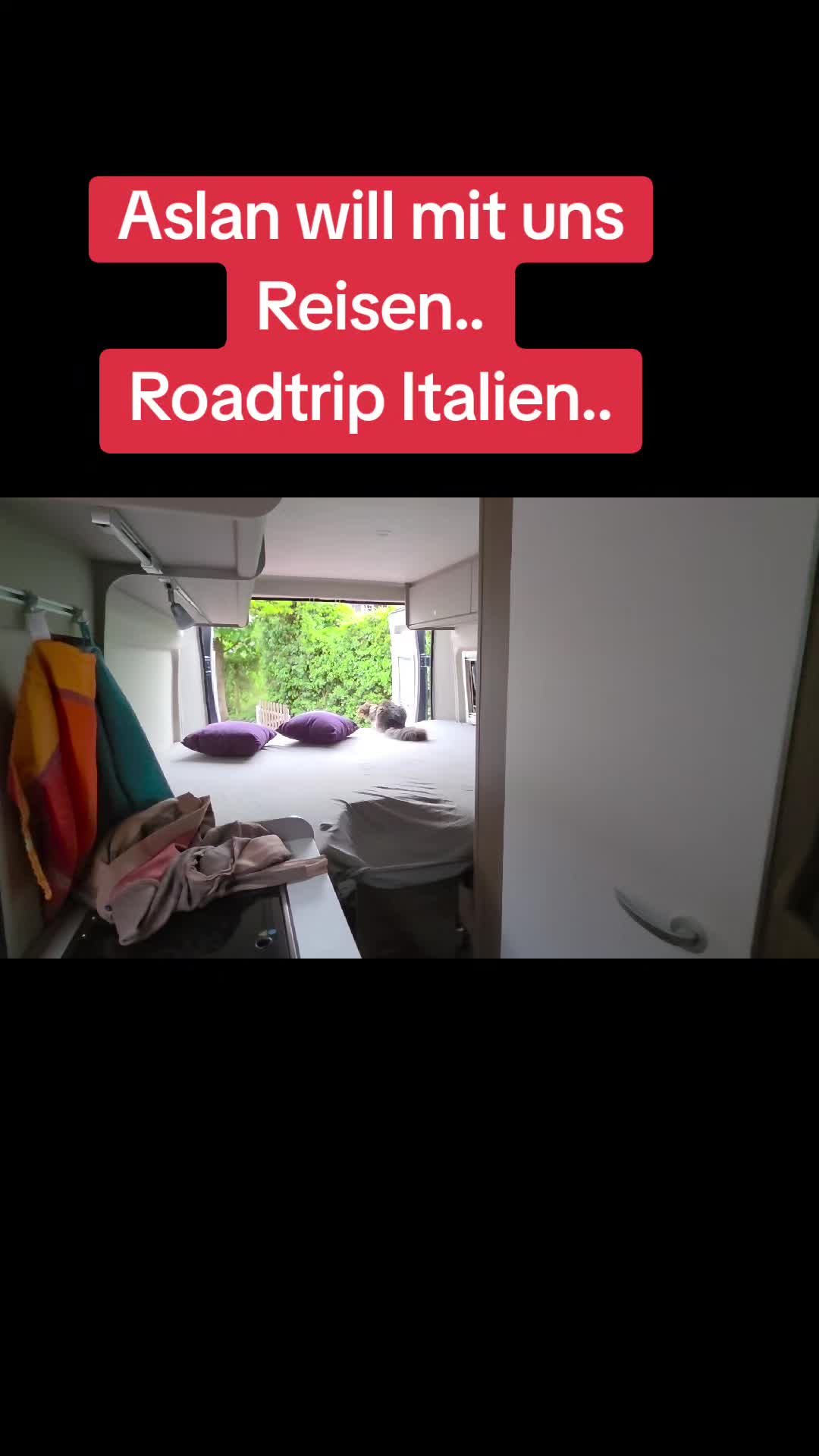 @mtcarsreal