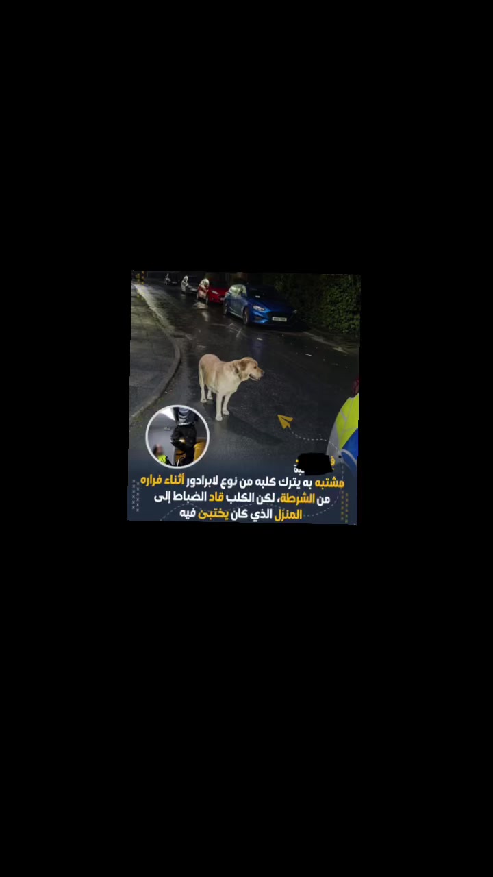 @Doaa