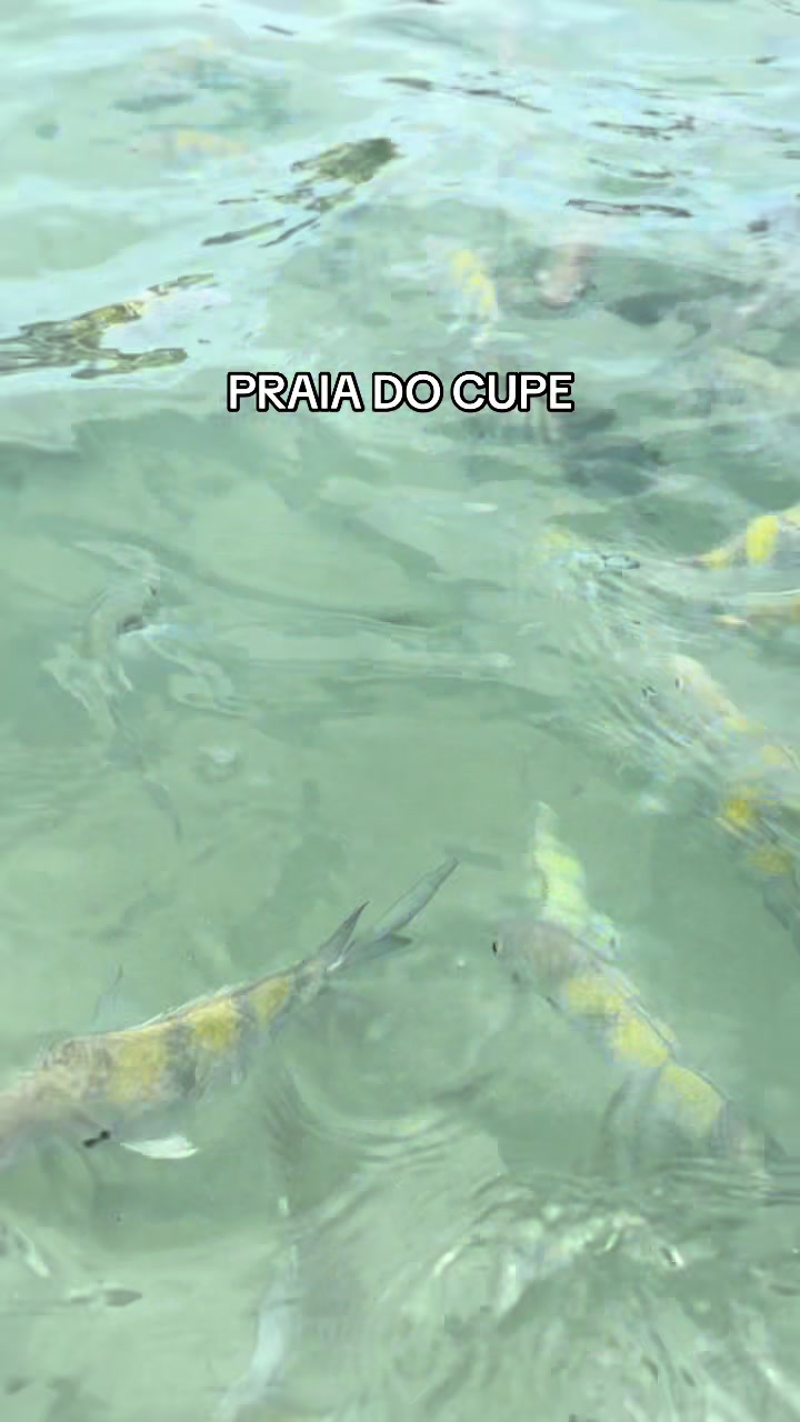 @Paula