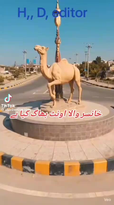 @hashimmalik650