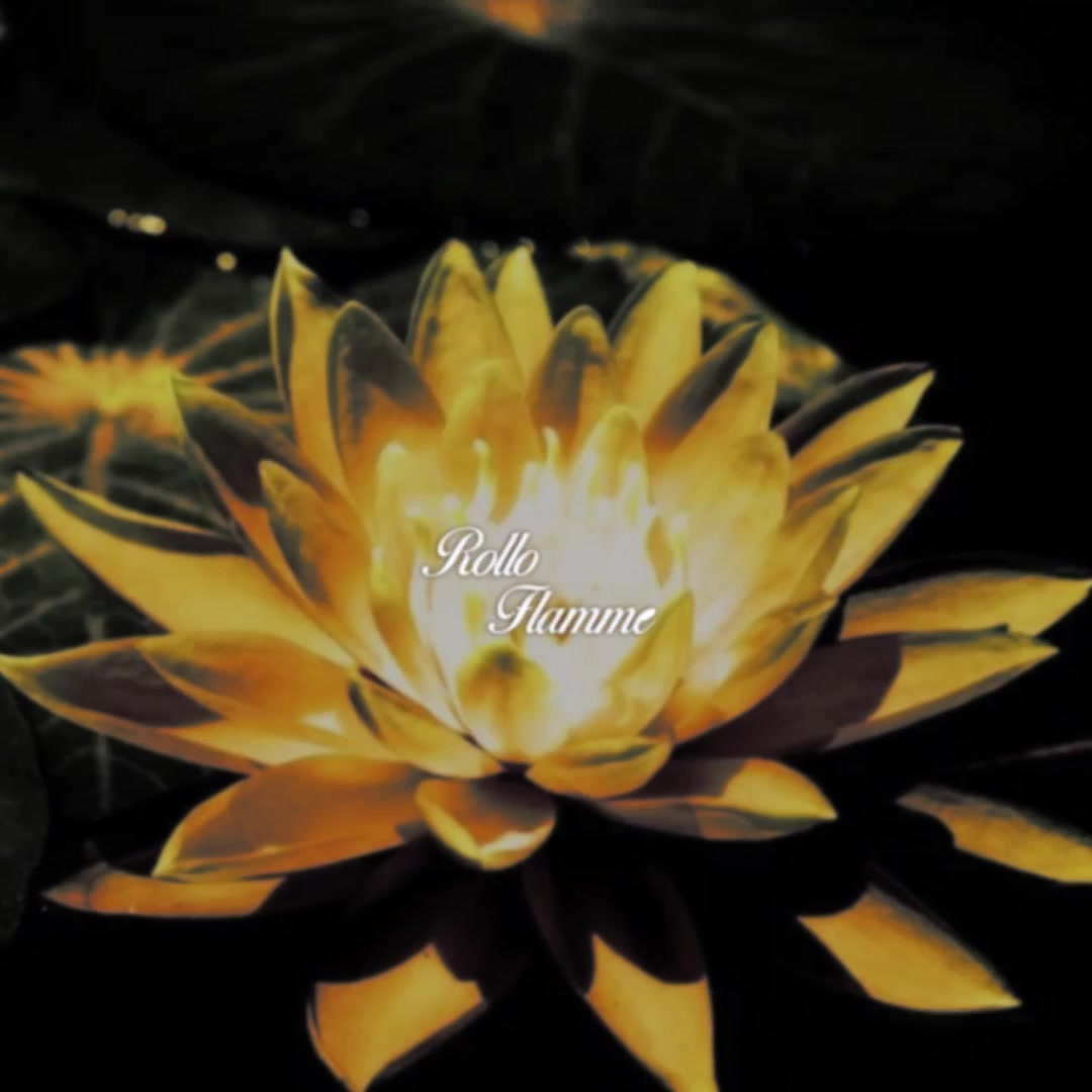 @en 𝄞⨾𓍢ִ໋