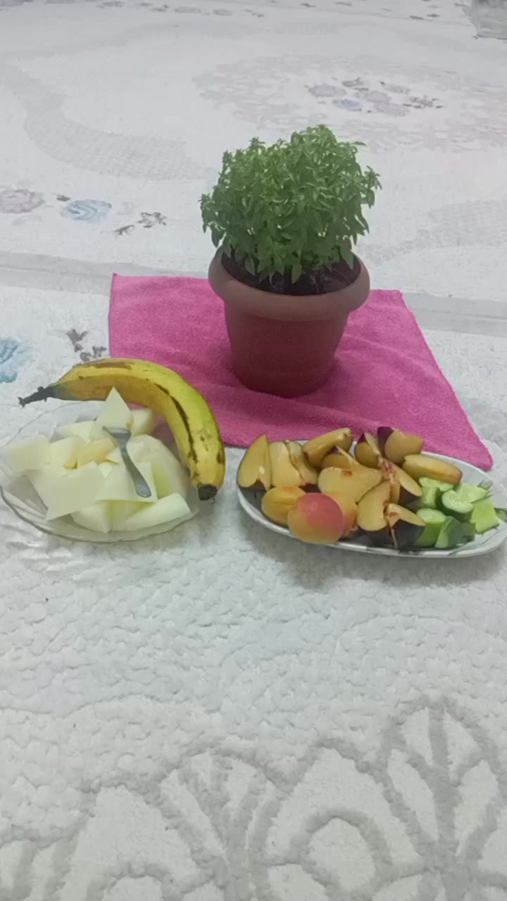 @Mehmet Can