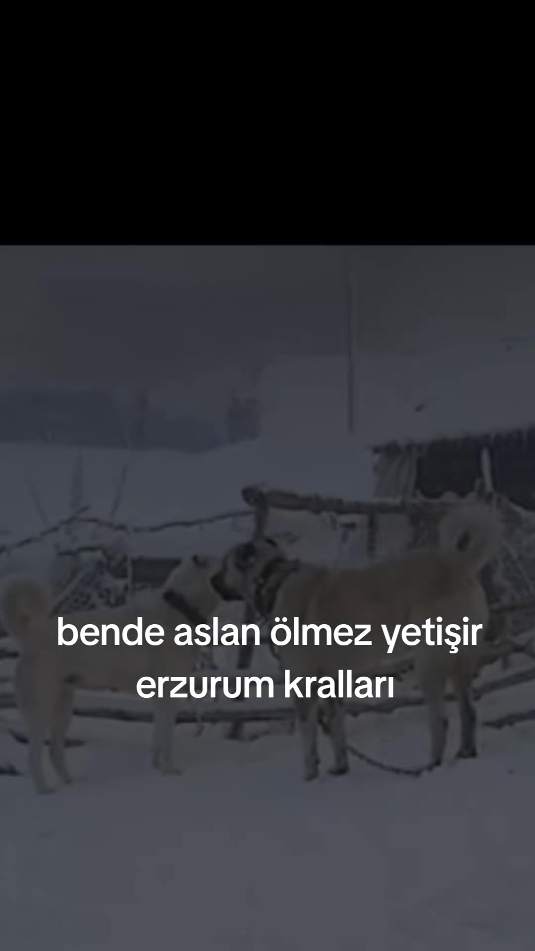 @erdogan 25