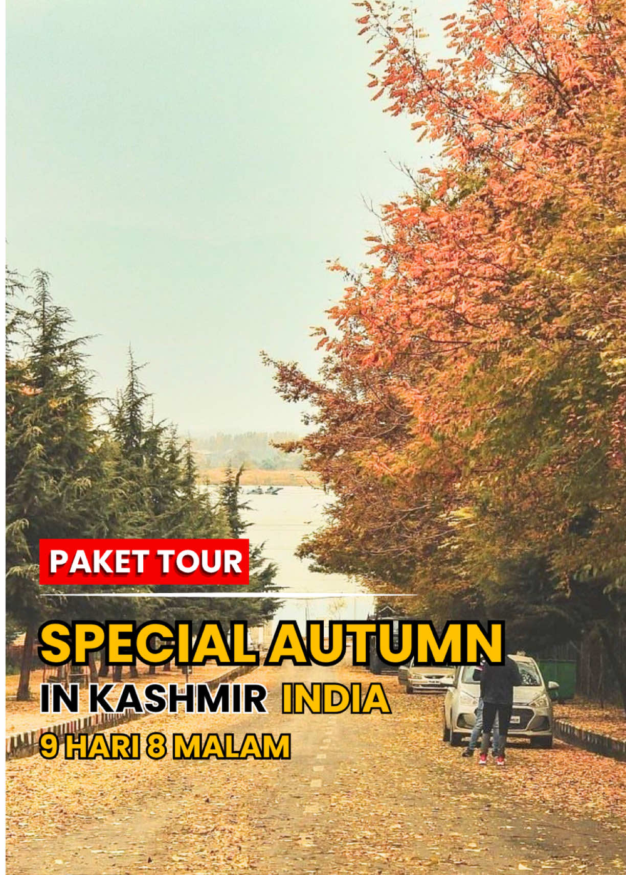 @TRAVEL TRIP KASHMIR INDIA