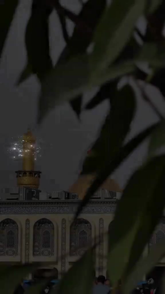 @واثقه بالله