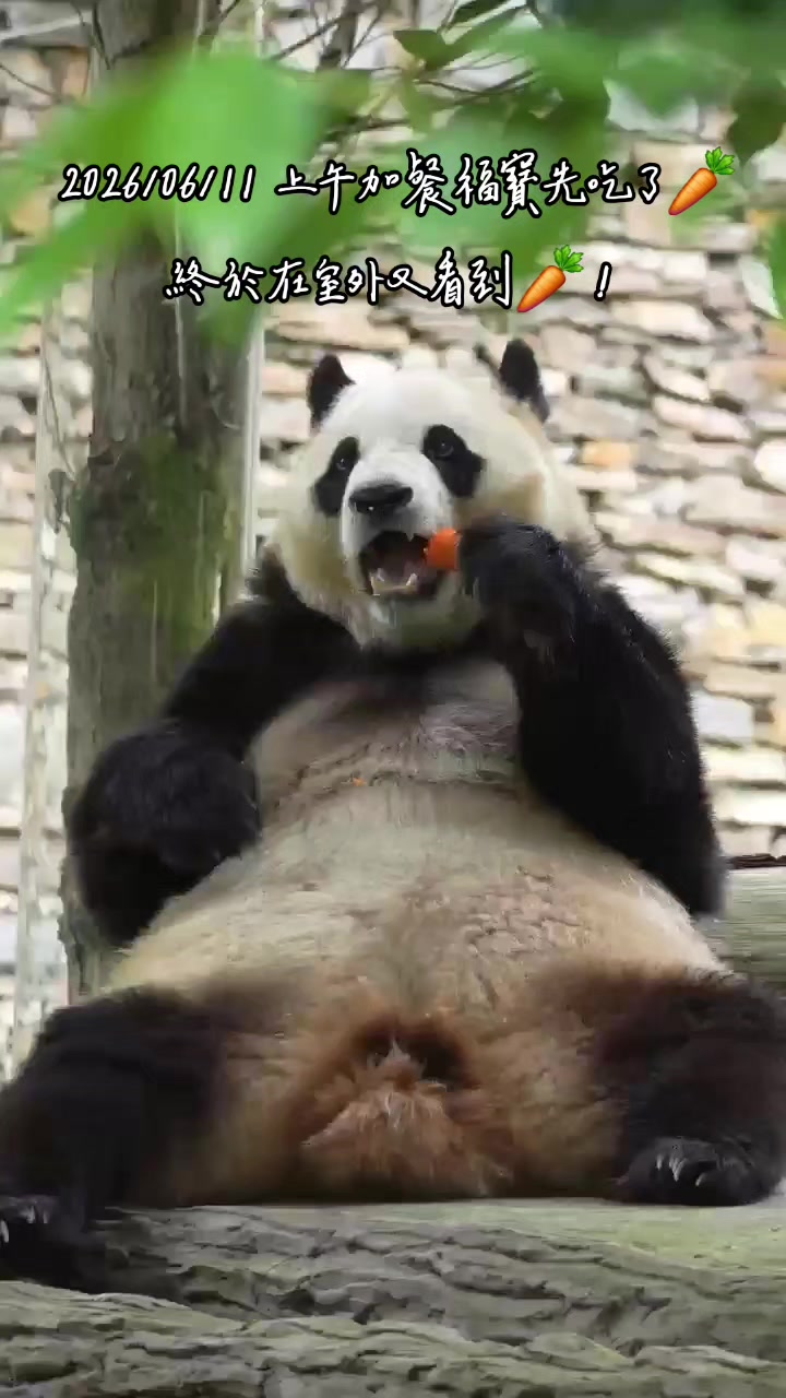 @福寶需要愛的抱抱