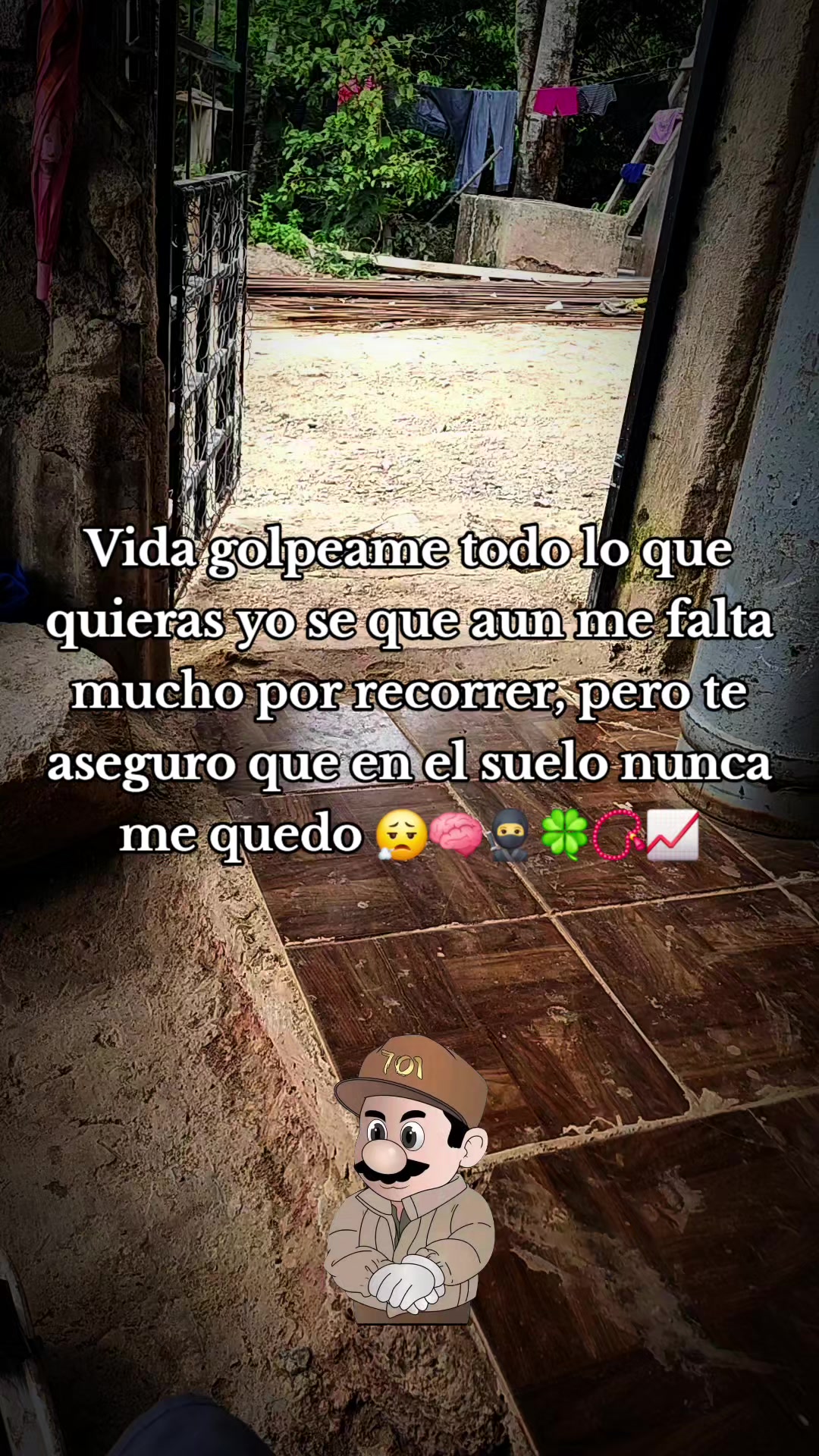@siltepec sv