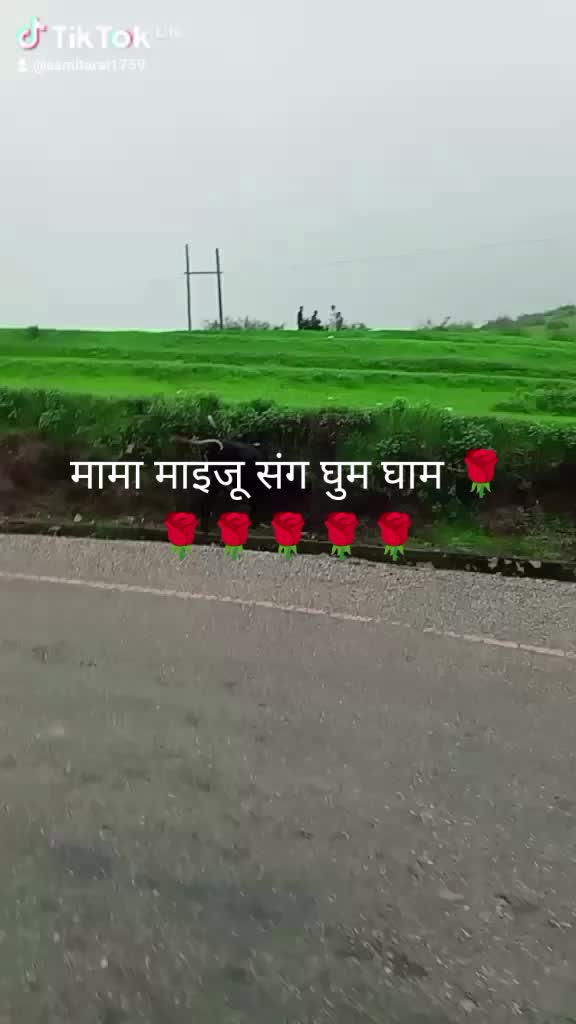 @Rai Asmita
