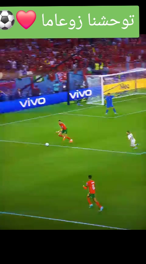 @وداد الأمة