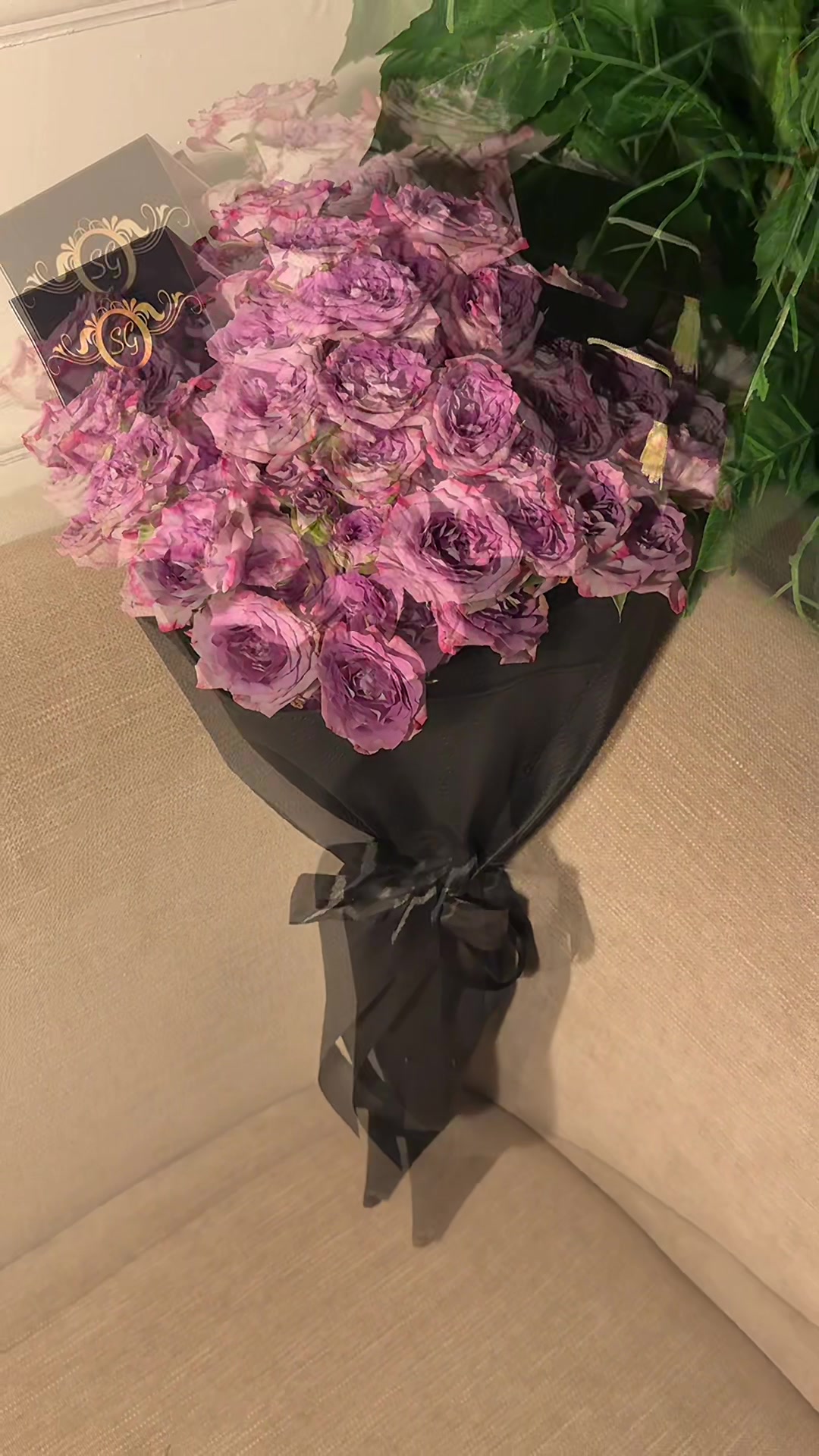 @style_gold_q8