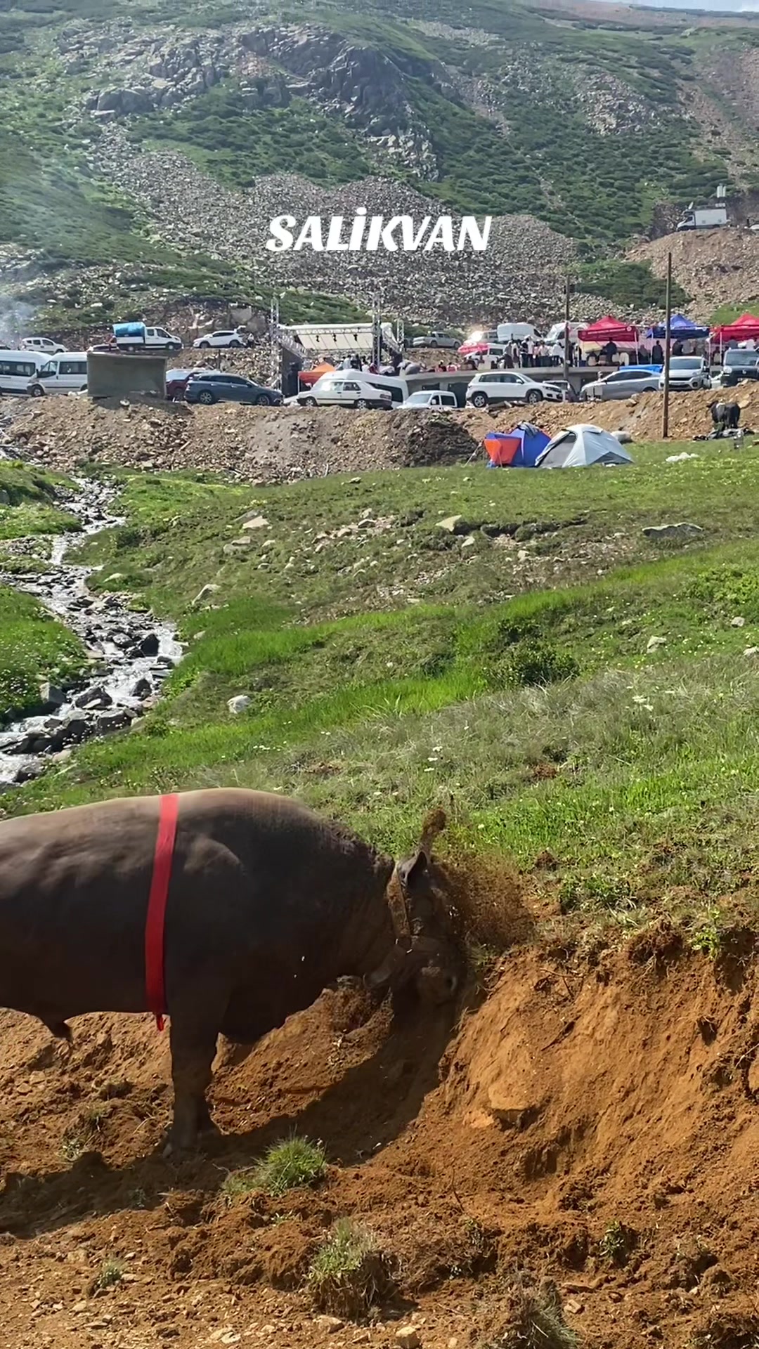 @Doğa Ajandası