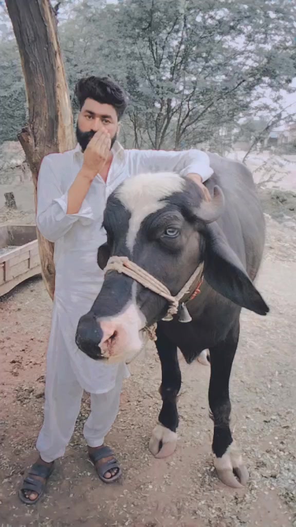 @Samar_jhang_710