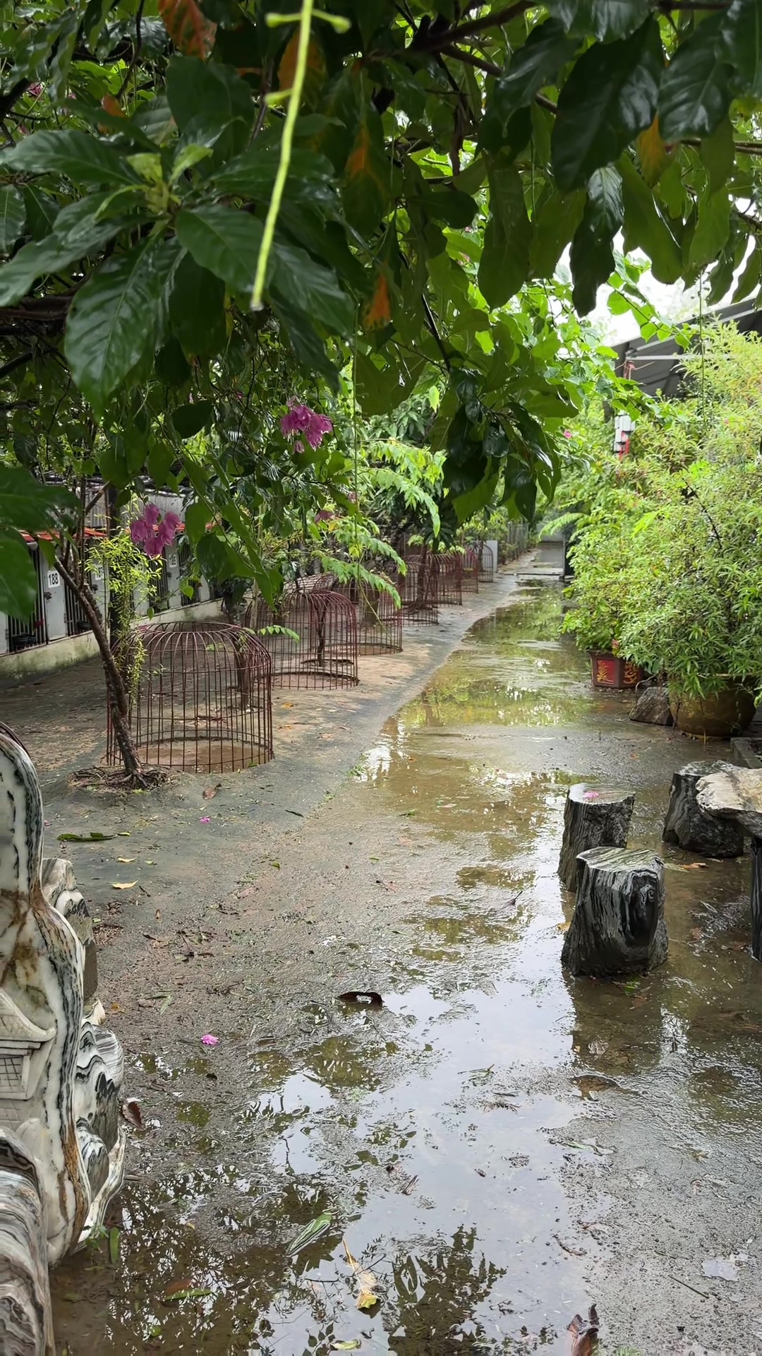 @Quốc khánh