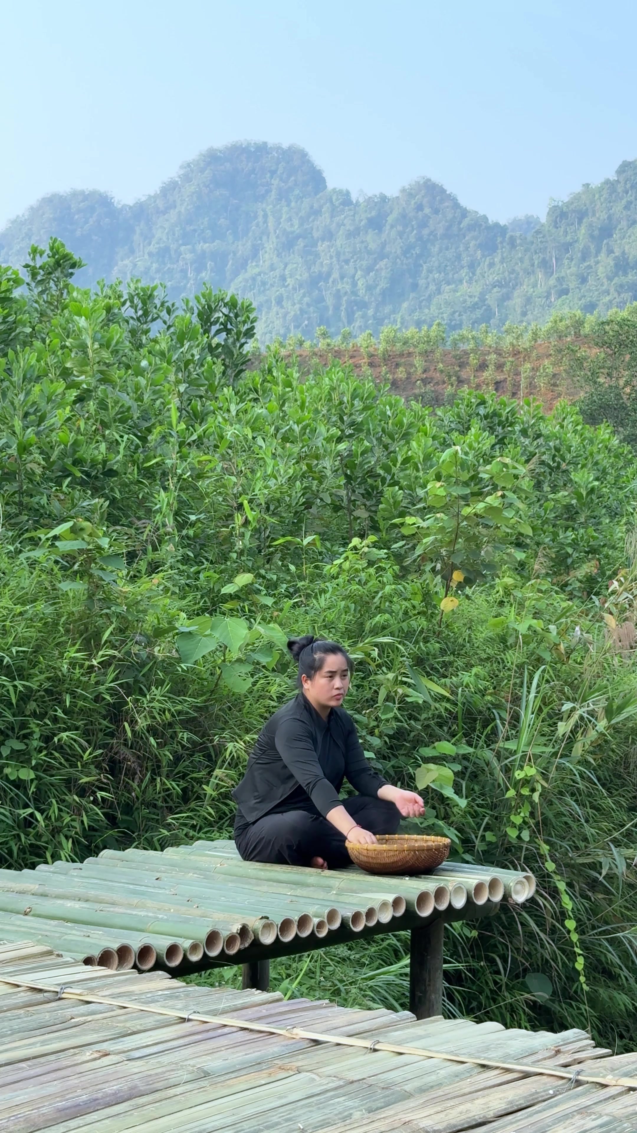 @Sức Tày