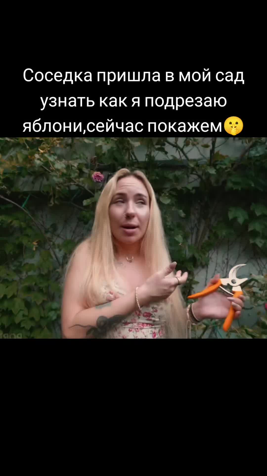 @Коала смотрит