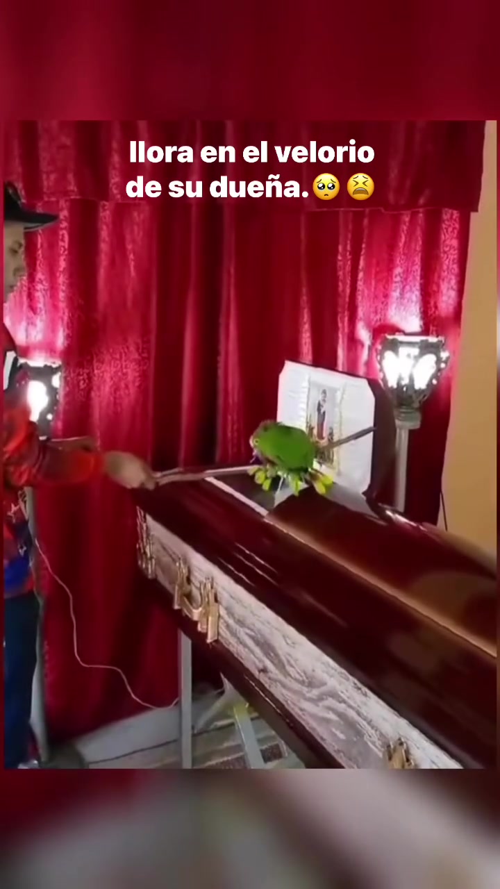 @isamyvideos4u