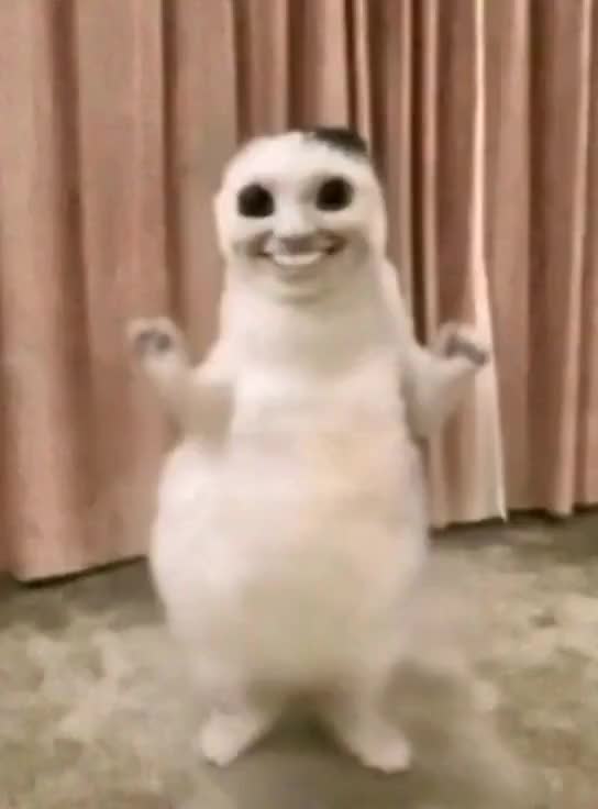 @HAKARI