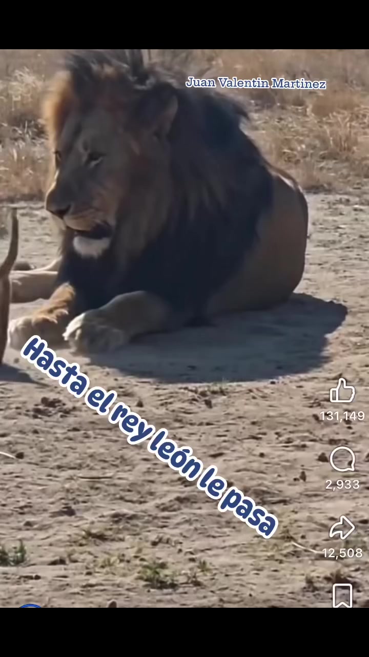 @Juan Valentín Martínez Herrera