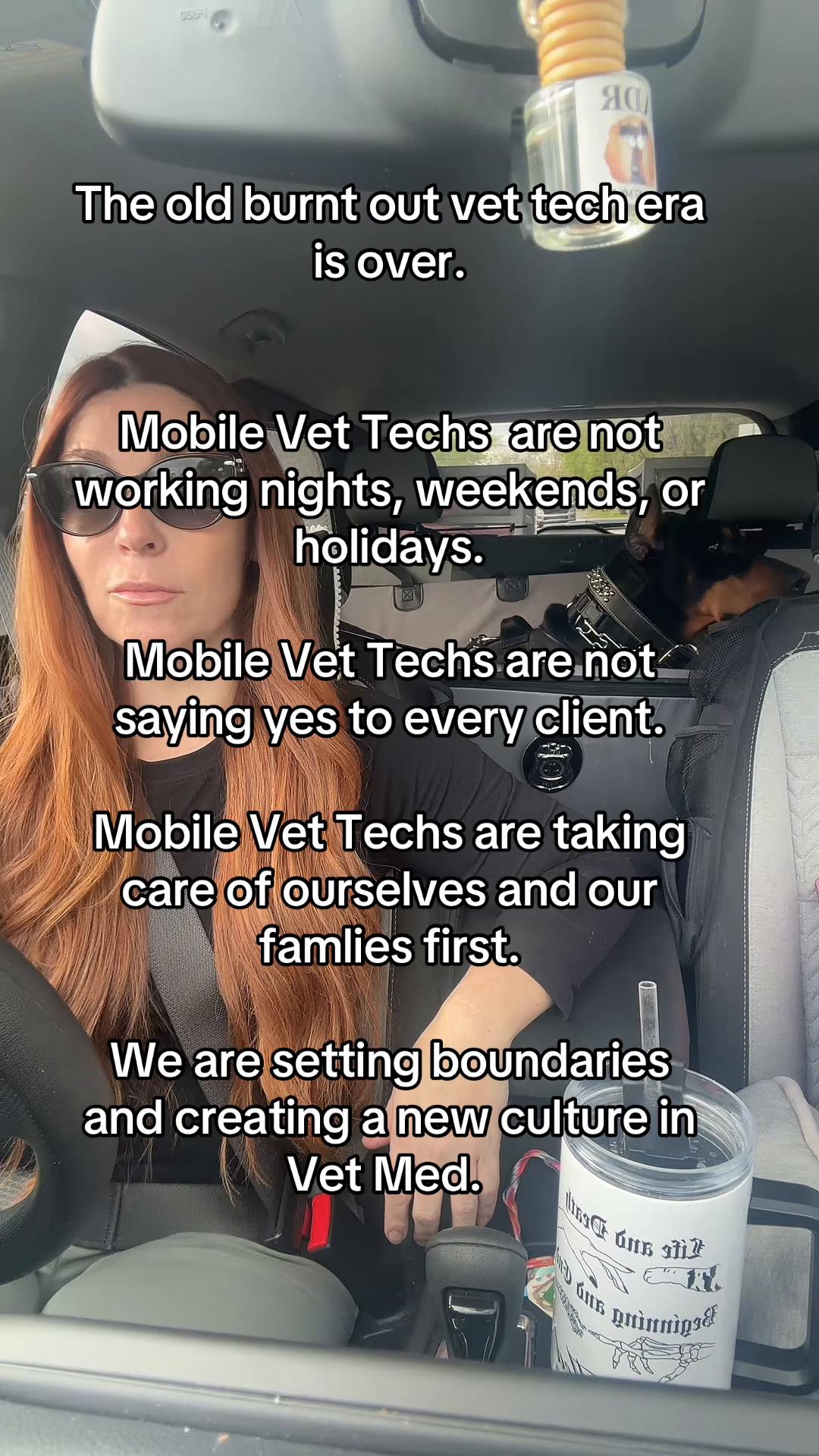@The.Mobile.Vet.Tech