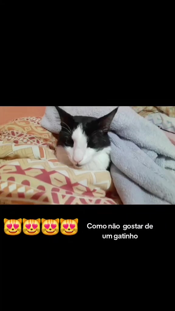 @Daiararn