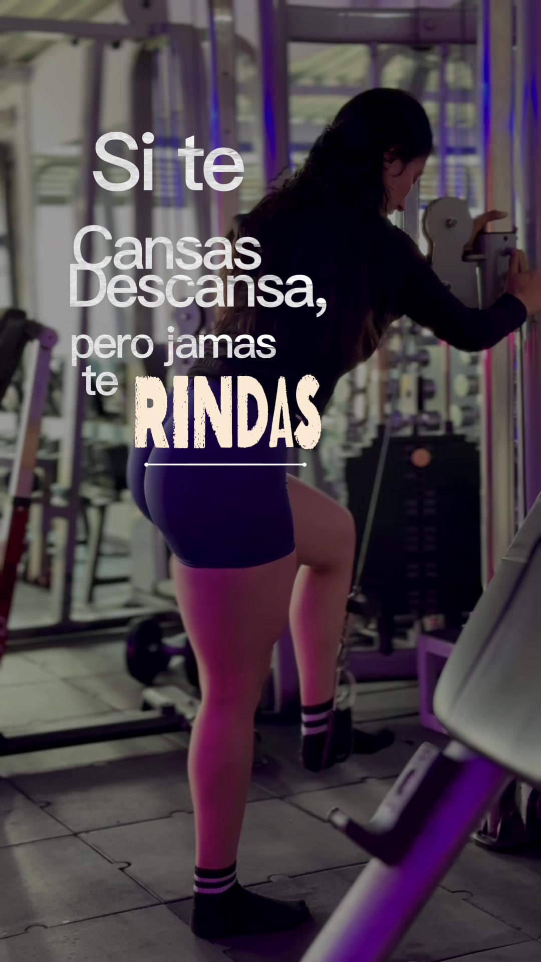 @Lina Sogamoso