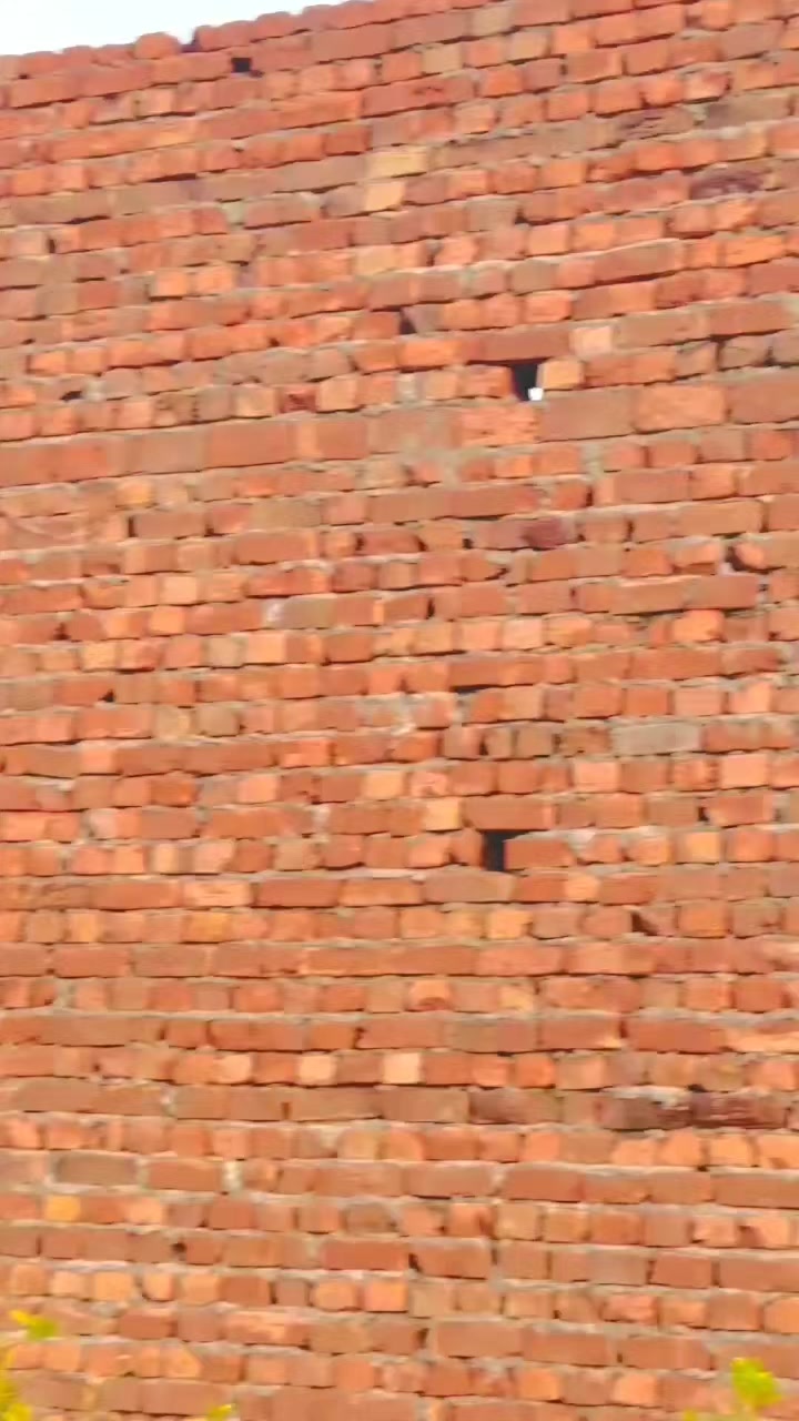 @♠️ 尺OYAL文꧁ĂĹĨ꧂♠️