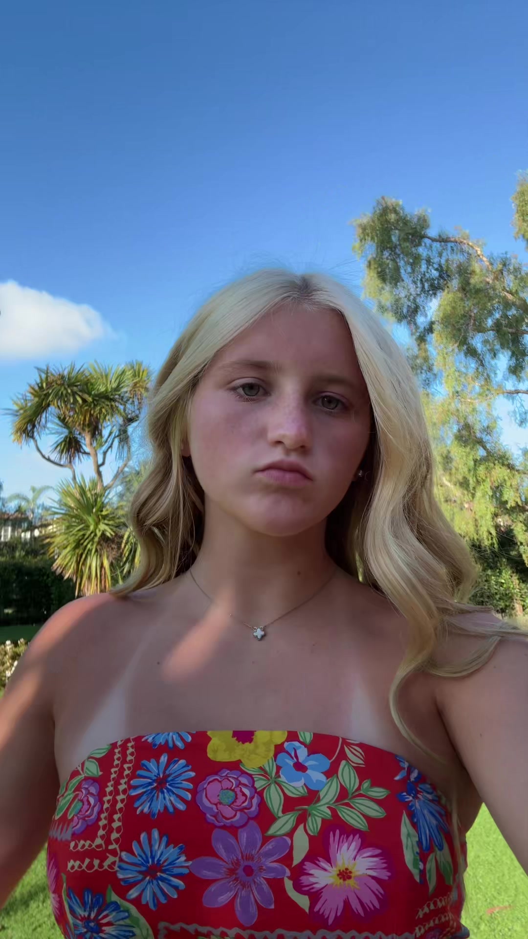 @Ainsley Perkins