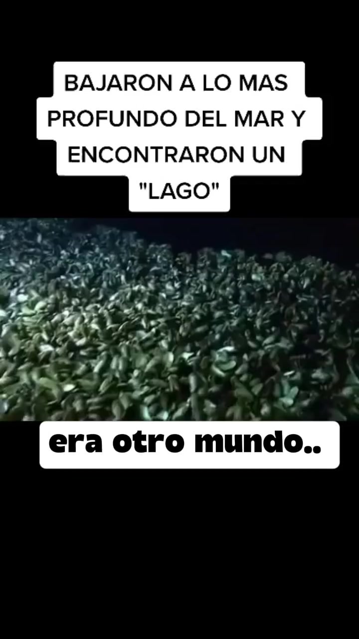 @Archivos del Misterio