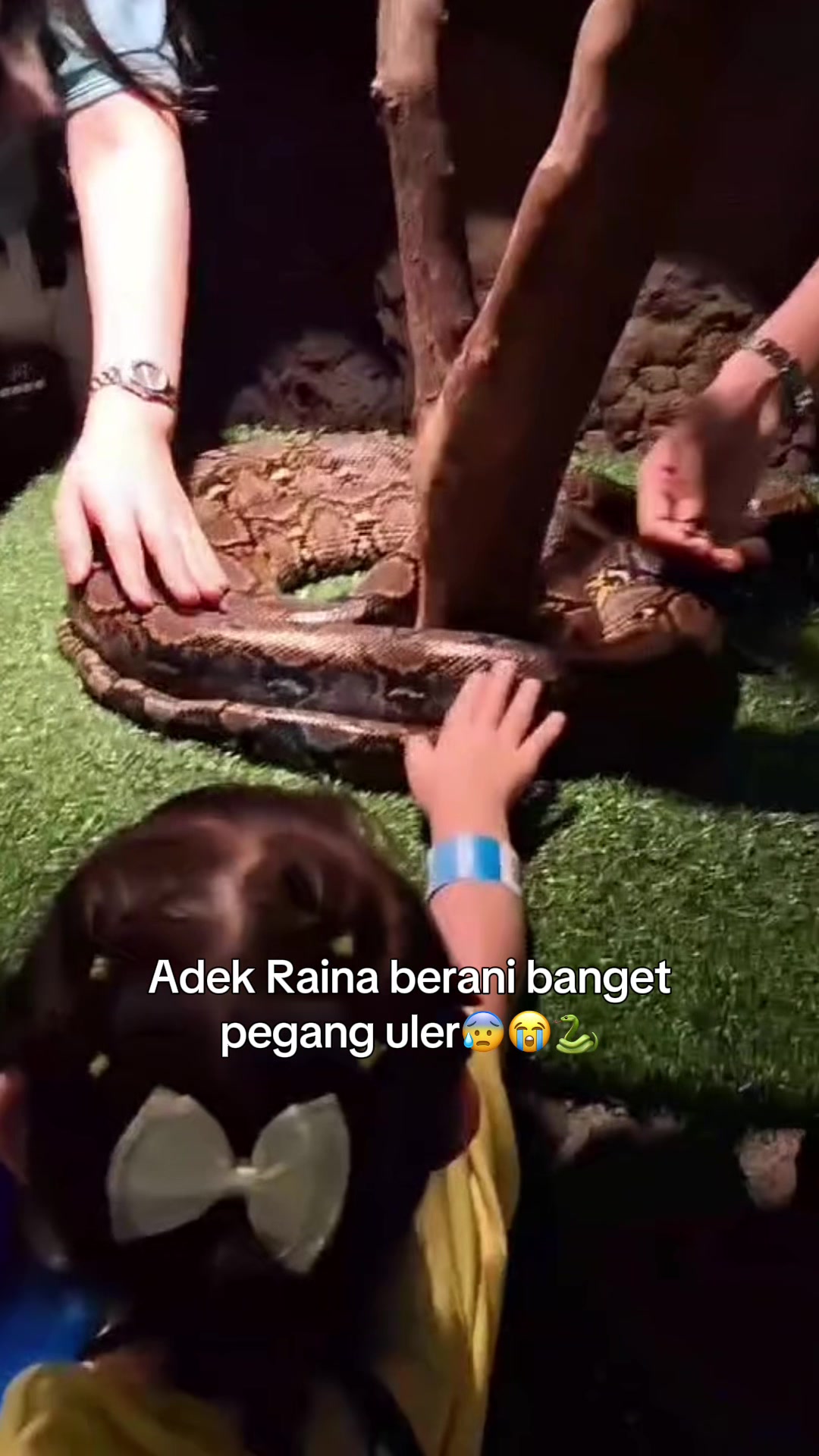 @Pecinta Rossa Official