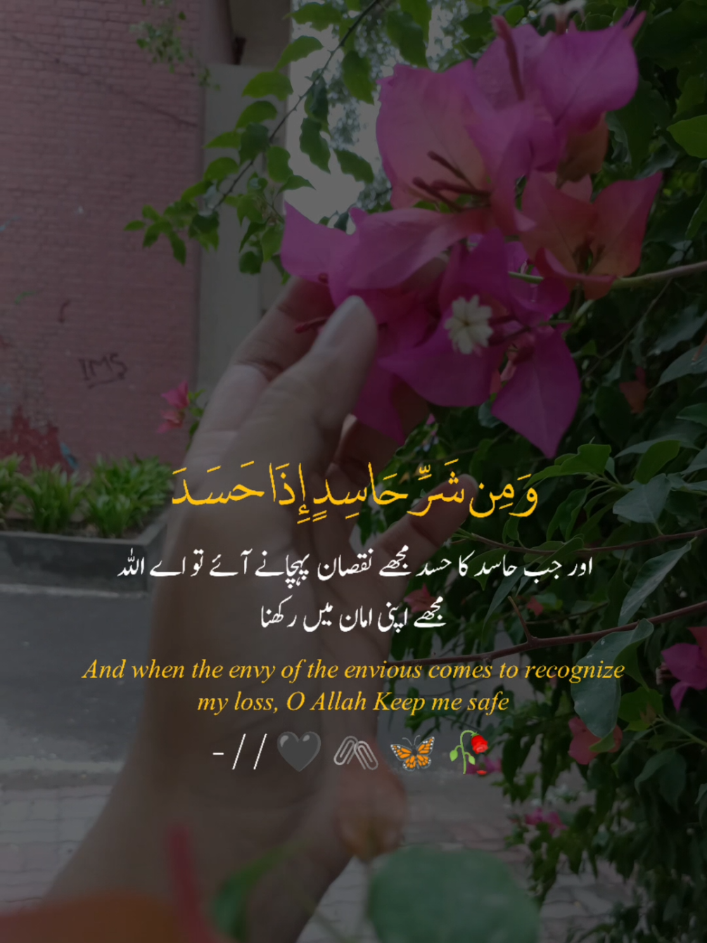 @Wajeeha Yaseen