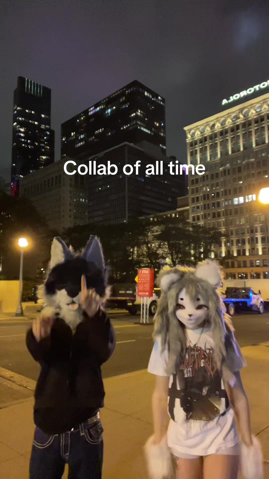@derpykitten