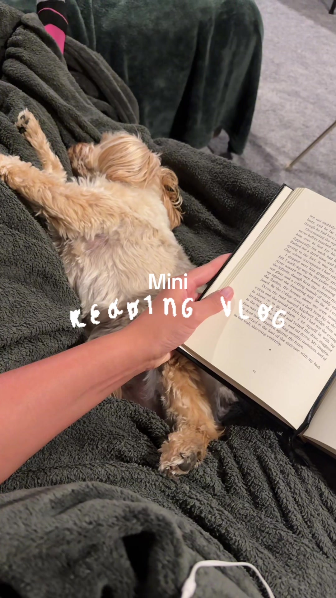 @📚🐾AmandaMacKenzie🐾📚