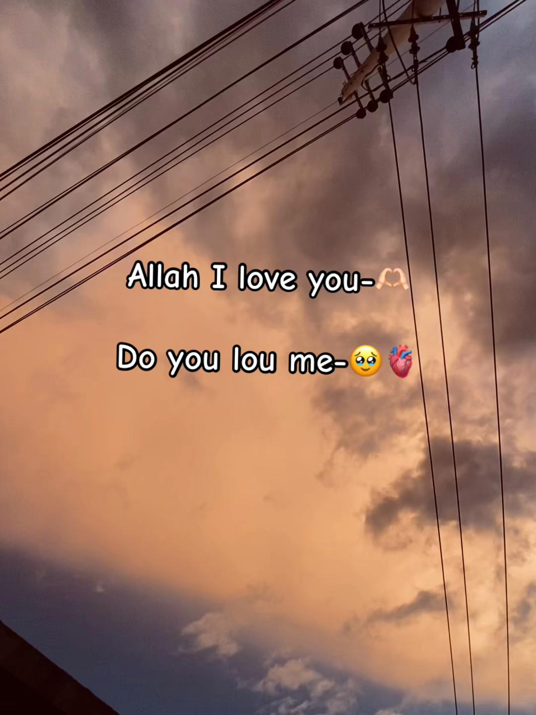 @ChaccHu 🌙🩵