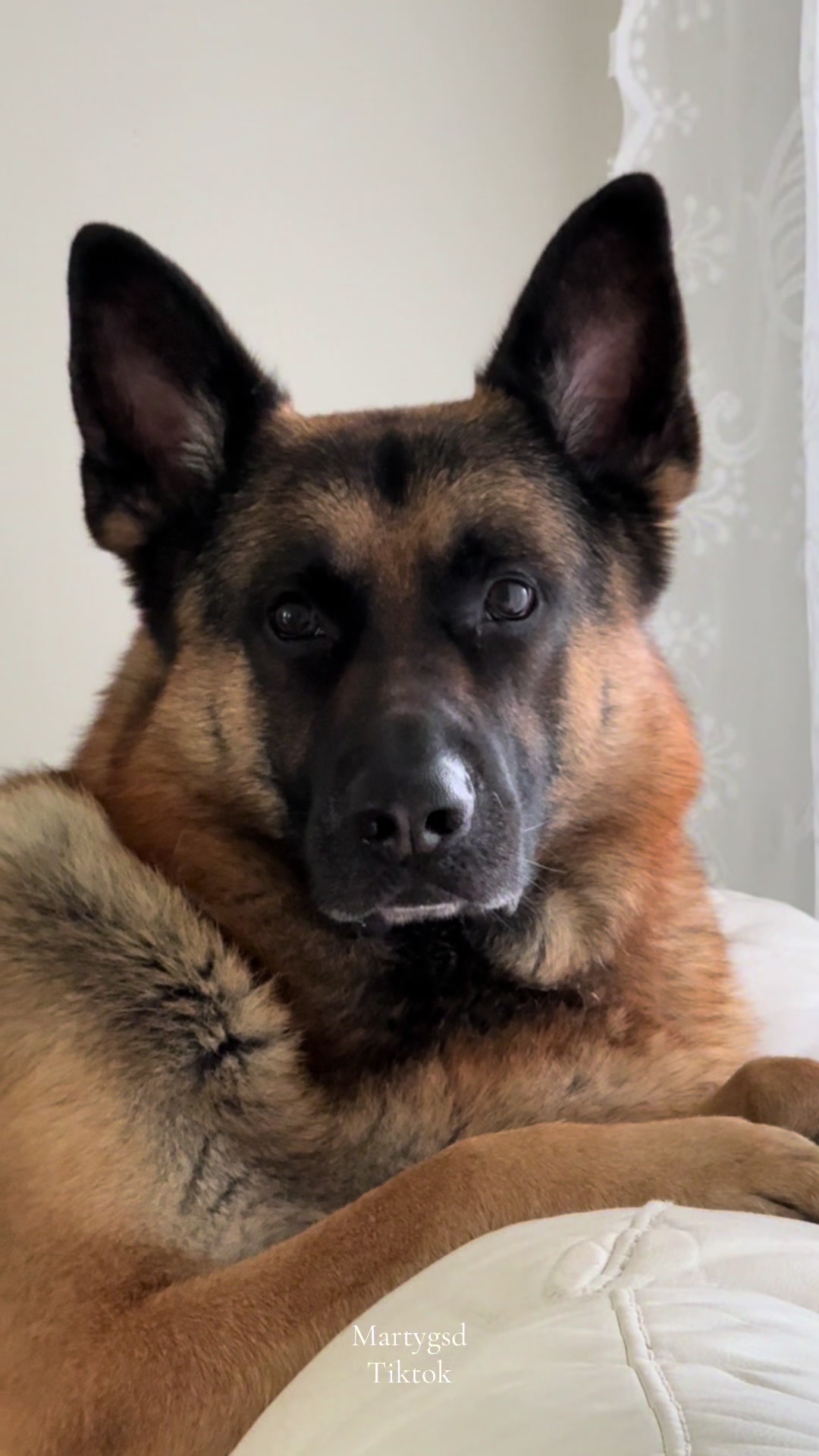 @Martygsd