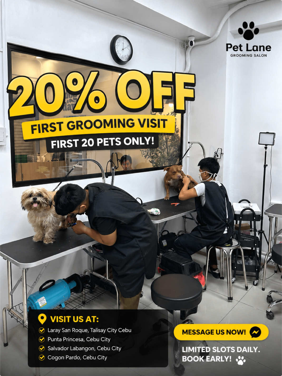 @petlanecebu