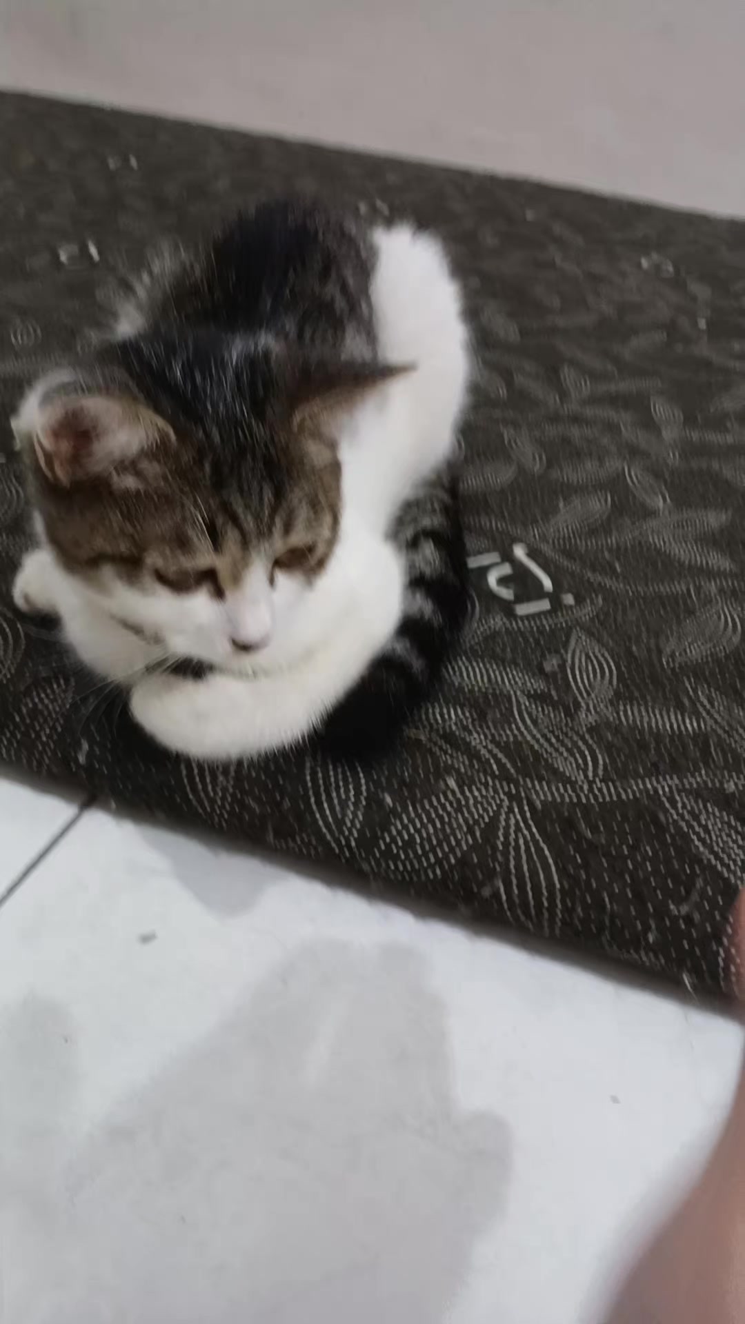@「✮」•°𝐆𝐲𝐮𝐫𝐚°•