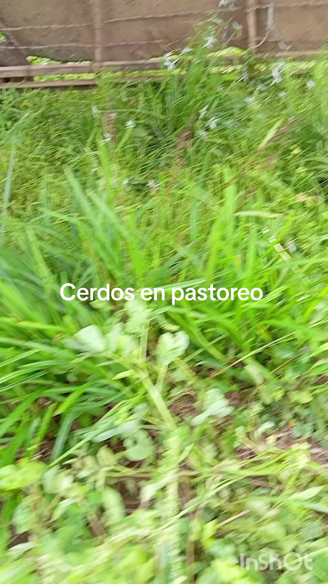 @SuperNovaRegenerative