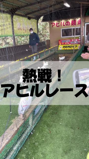 @minami