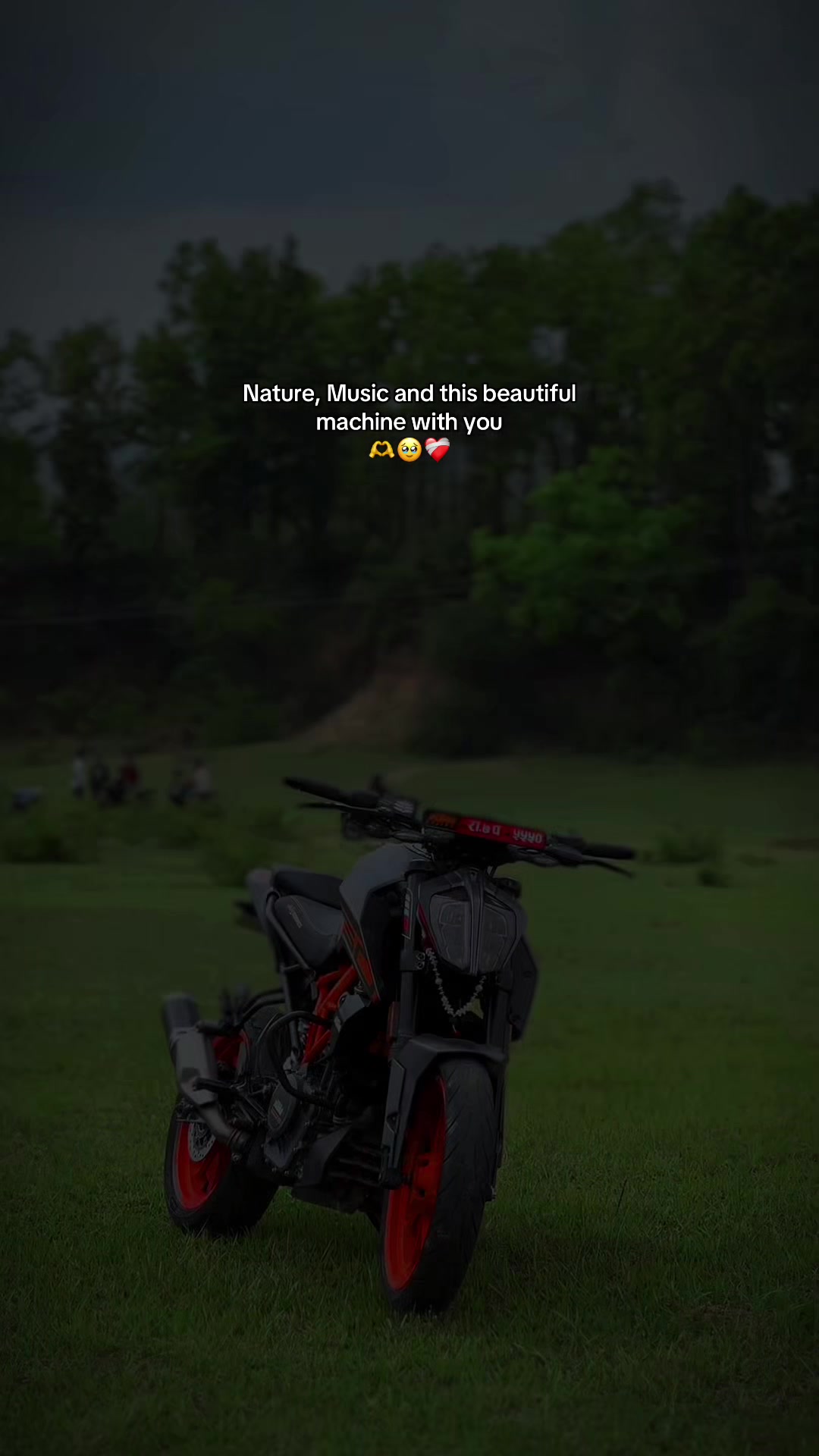 @ＴＯＲＱＵＥ_２５０ 💀
