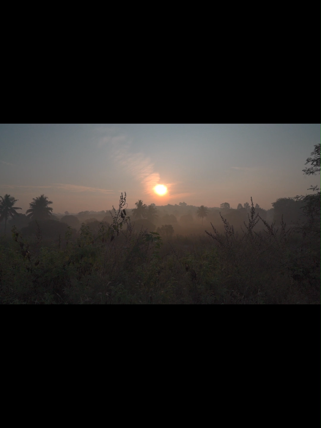 @소라의노트