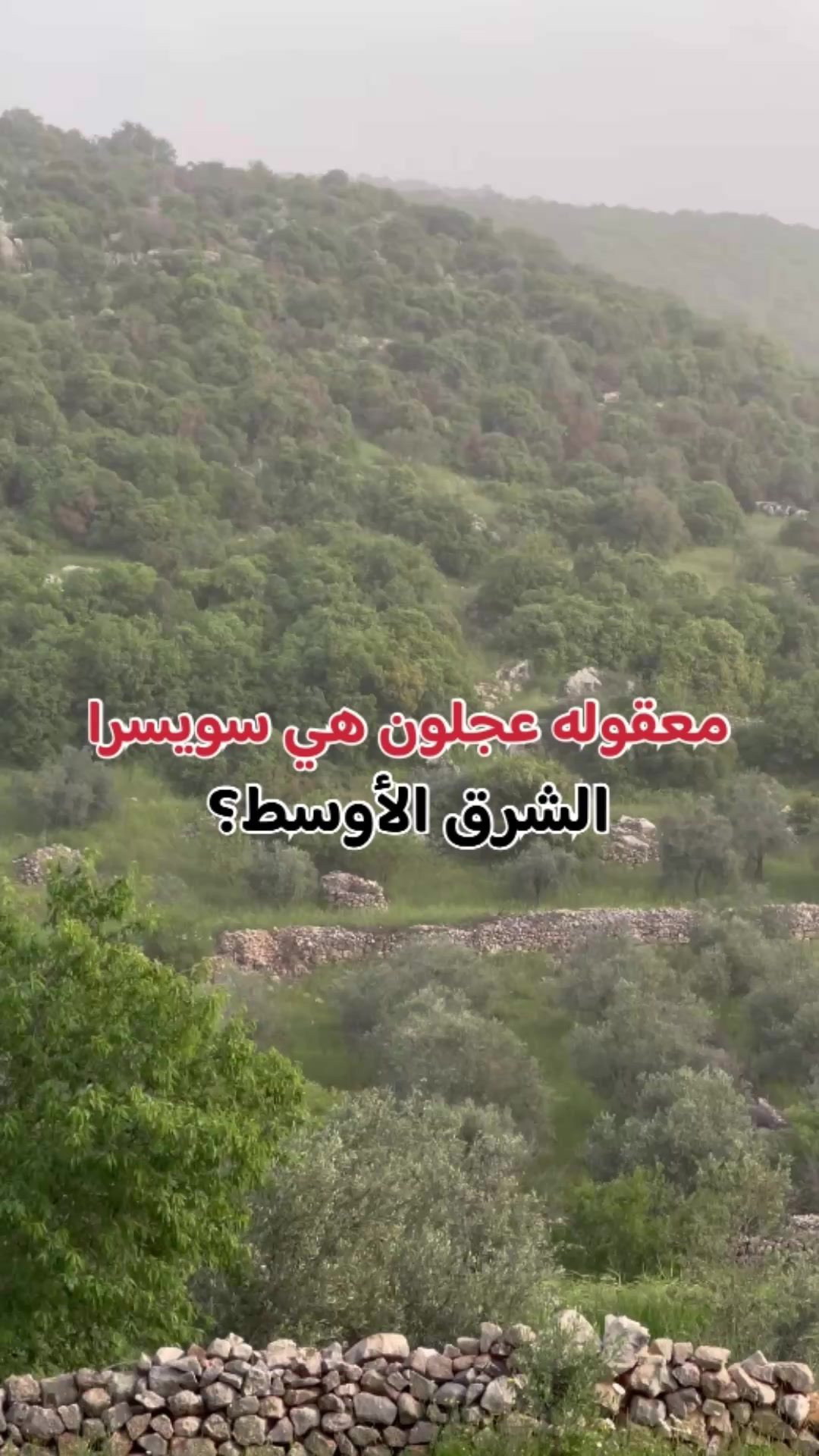 @almasri_in_jordan