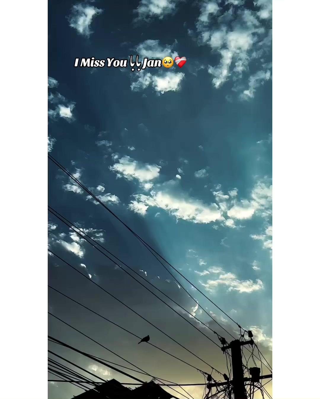 @⚜️𝐊𝐇𝐎𝐊𝐇𝐀𝐑❤️🩹