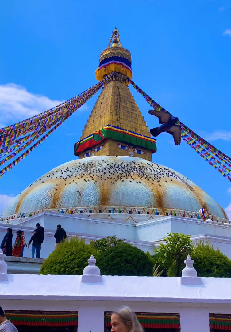 @ganeshexplore