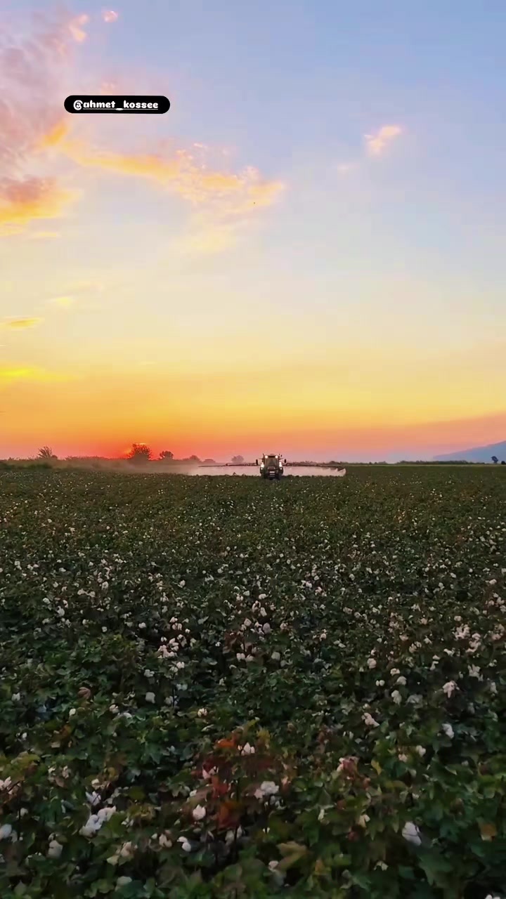 @Yiğit