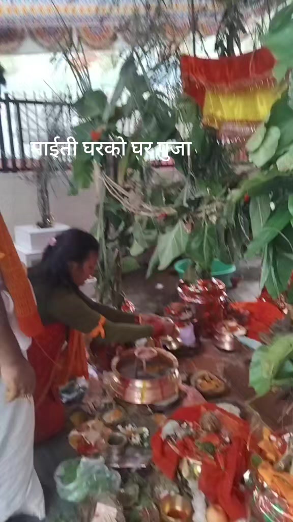 @Sarita Paudel9473